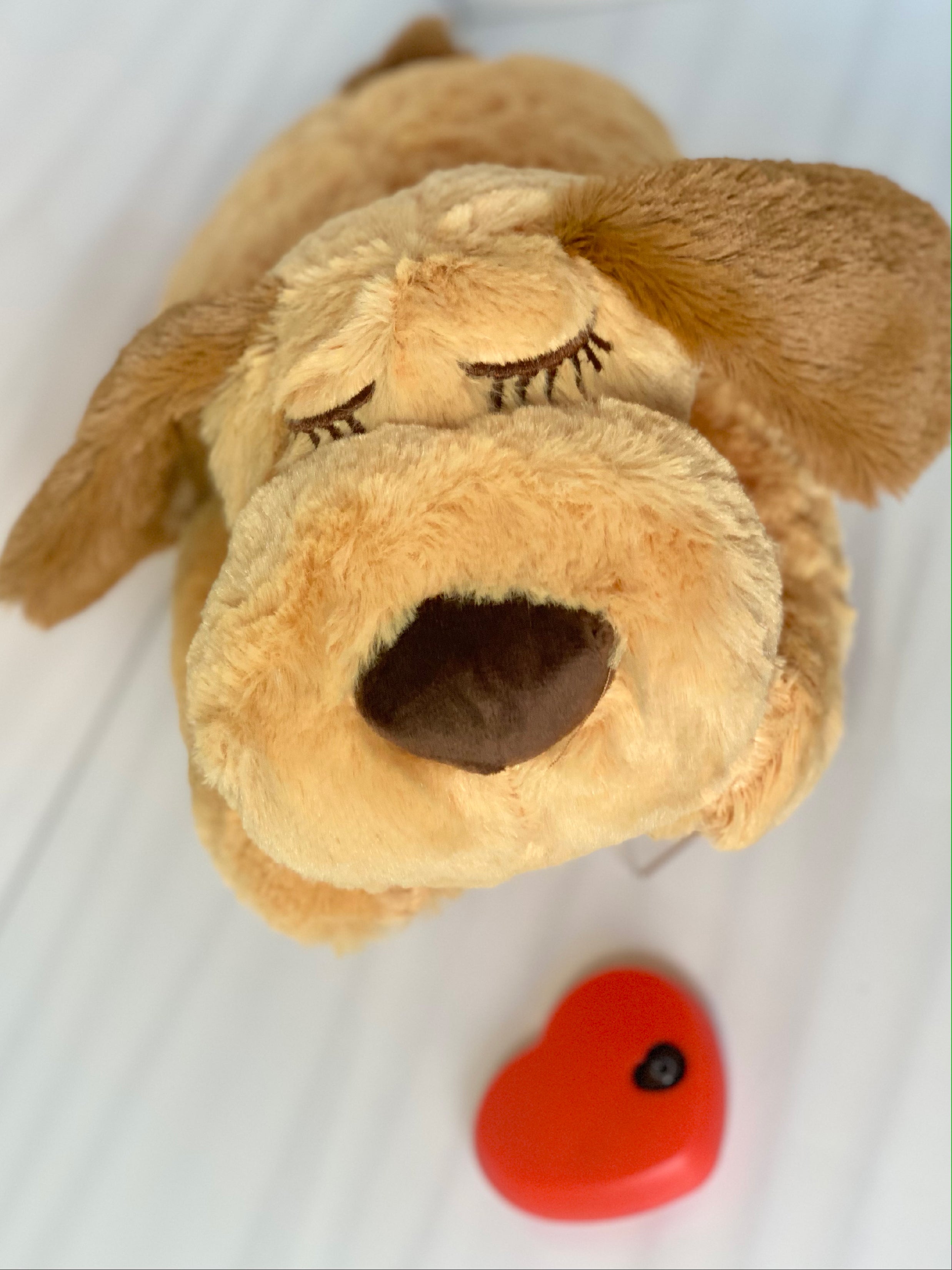 Heartbeat Stuffed Plush Rabbit Dog Toys for Dogs with Anxiety – Downtown Pet  Supply